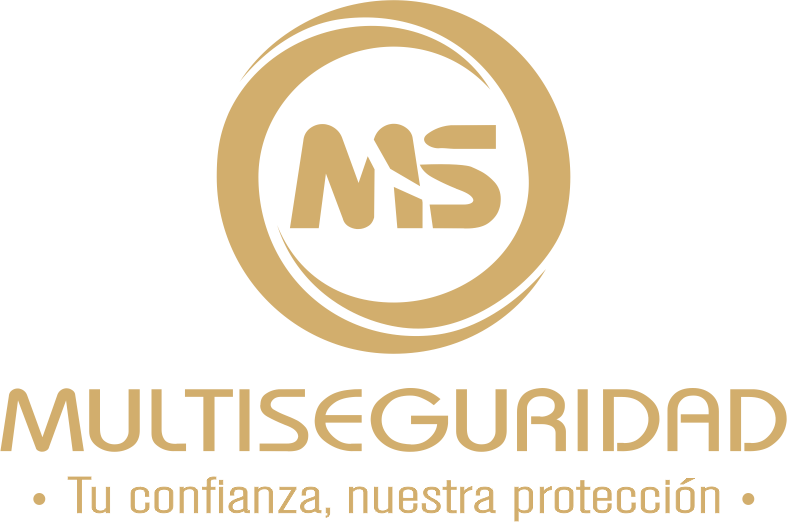 Multiseguridad